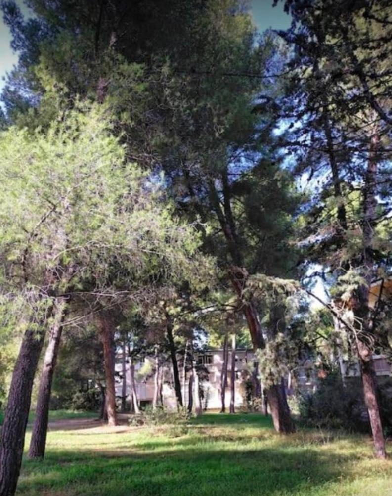 Studio Marseille Calanques المظهر الخارجي الصورة