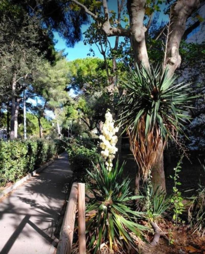 Studio Marseille Calanques المظهر الخارجي الصورة